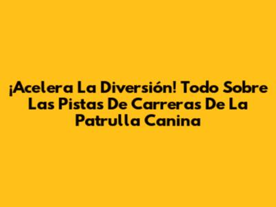 ¡Acelera La Diversión! Todo Sobre Las Pistas De Carreras De La Patrulla Canina