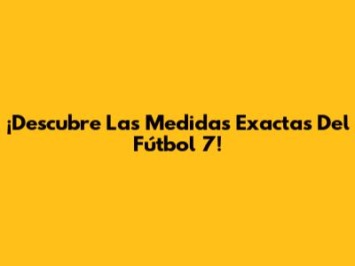 ¡Descubre Las Medidas Exactas Del Fútbol 7!