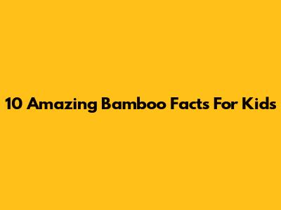 10 Amazing Bamboo Facts For Kids