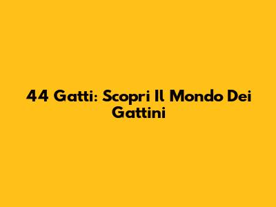 44 Gatti: Scopri Il Mondo Dei Gattini