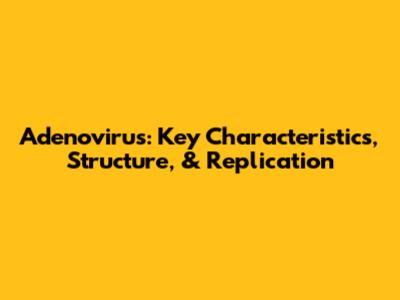 Adenovirus: Key Characteristics, Structure, & Replication