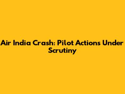 Air India Crash: Pilot Actions Under Scrutiny