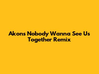 Akon's "Nobody Wanna See Us Together" Remix