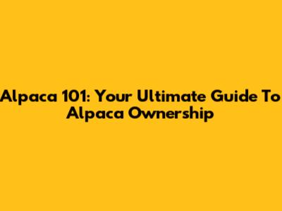 Alpaca 101: Your Ultimate Guide To Alpaca Ownership