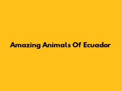 Amazing Animals Of Ecuador