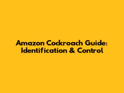 Amazon Cockroach Guide: Identification & Control