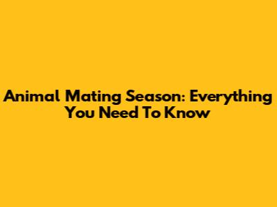 Animal Mating Season: Everything You Need To Know