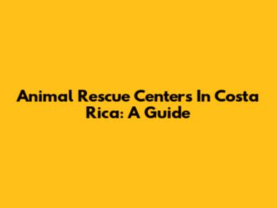 Animal Rescue Centers In Costa Rica: A Guide