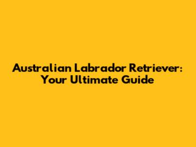 Australian Labrador Retriever: Your Ultimate Guide