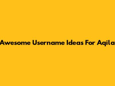 Awesome Username Ideas For Aqila