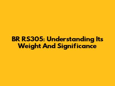BR RS305: Understanding Its Weight And Significance