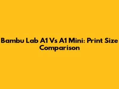 Bambu Lab A1 Vs A1 Mini: Print Size Comparison