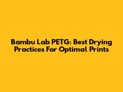 Bambu Lab PETG: Best Drying Practices For Optimal Prints