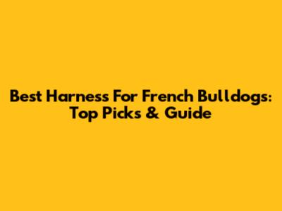 Best Harness For French Bulldogs: Top Picks & Guide