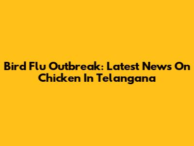 Bird Flu Outbreak: Latest News On Chicken In Telangana