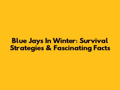 Blue Jays In Winter: Survival Strategies & Fascinating Facts