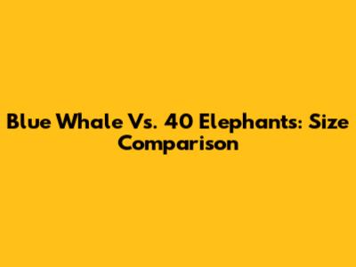 Blue Whale Vs. 40 Elephants: Size Comparison