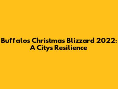 Buffalo's Christmas Blizzard 2022: A City's Resilience