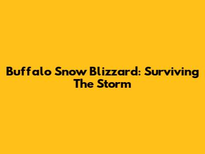Buffalo Snow Blizzard: Surviving The Storm