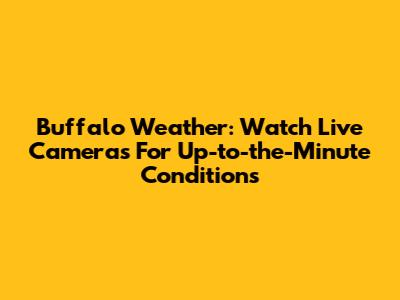 Buffalo Weather: Watch Live Cameras For Up-to-the-Minute Conditions