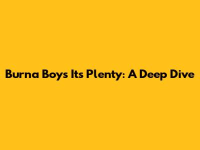 Burna Boy's 'It's Plenty': A Deep Dive