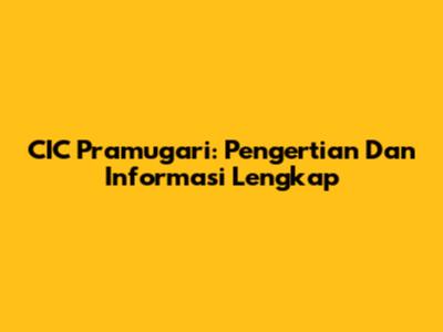 CIC Pramugari: Pengertian Dan Informasi Lengkap