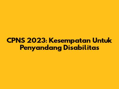 CPNS 2023: Kesempatan Untuk Penyandang Disabilitas