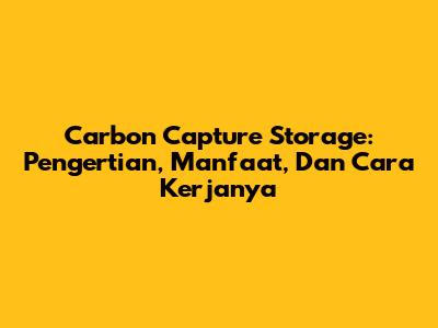 Carbon Capture Storage: Pengertian, Manfaat, Dan Cara Kerjanya