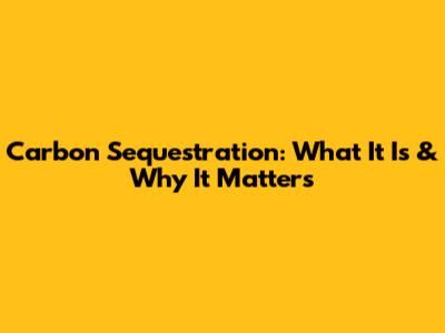 Carbon Sequestration: What It Is & Why It Matters