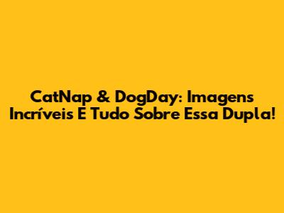 CatNap & DogDay: Imagens Incríveis E Tudo Sobre Essa Dupla!