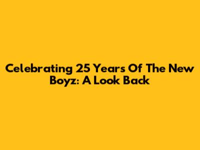 Celebrating 25 Years Of The New Boyz: A Look Back