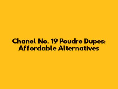 Chanel No. 19 Poudre Dupes: Affordable Alternatives