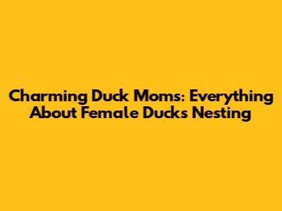 Charming Duck Moms: Everything About Female Ducks Nesting