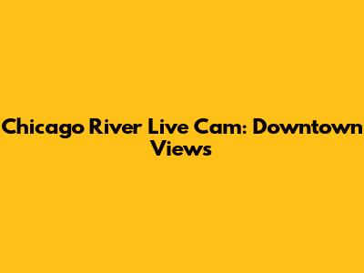 Chicago River Live Cam: Downtown Views