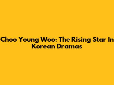 Choo Young Woo: The Rising Star In Korean Dramas