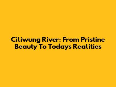 Ciliwung River: From Pristine Beauty To Today's Realities