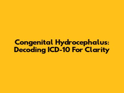 Congenital Hydrocephalus: Decoding ICD-10 For Clarity