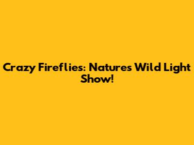 Crazy Fireflies: Nature's Wild Light Show!