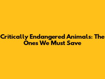 Critically Endangered Animals: The Ones We Must Save