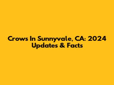 Crows In Sunnyvale, CA: 2024 Updates & Facts