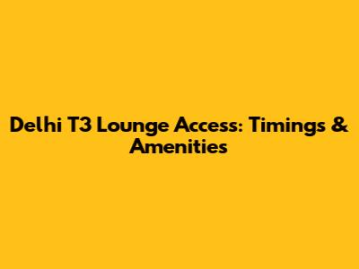 Delhi T3 Lounge Access: Timings & Amenities