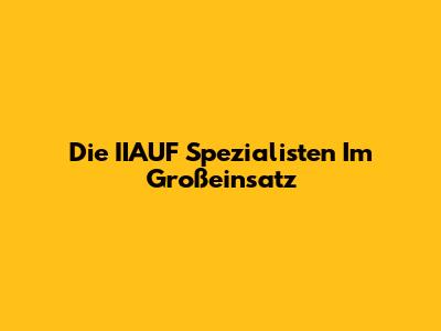 Die IIAUF Spezialisten Im Großeinsatz