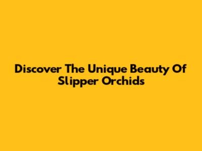 Discover The Unique Beauty Of Slipper Orchids