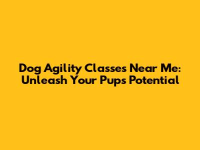 Dog Agility Classes Near Me: Unleash Your Pup's Potential