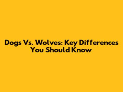 Dogs Vs. Wolves: Key Differences You Should Know