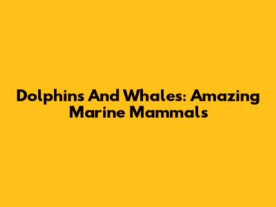Dolphins And Whales: Amazing Marine Mammals