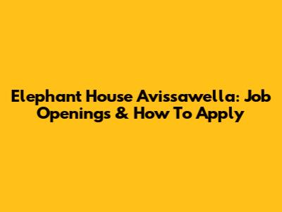 Elephant House Avissawella: Job Openings & How To Apply