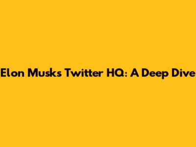 Elon Musk's Twitter HQ: A Deep Dive