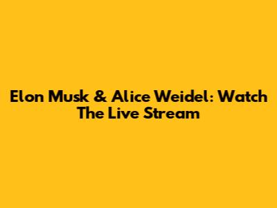 Elon Musk & Alice Weidel: Watch The Live Stream