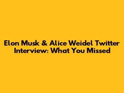 Elon Musk & Alice Weidel Twitter Interview: What You Missed